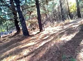 clitlicker662 shares an intriguing update from dec 12 2024, capturing solo outdoor masturbation in the forest with naked exhibitionist flashing and sloppy clit play