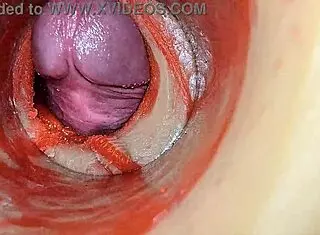 Feel that huge cock pulsing deep inside my tight wet pussy! She moans during close-up creampie insemination.