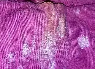 voyeur catches stepmom's panties again in part two masturbation tease