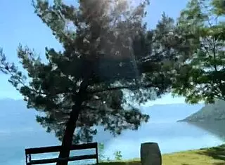 Brunette 18yo teen flashes and rides cock in risky public outdoor pov sex bent over.