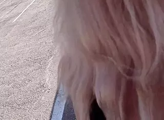 sex on the road with blonde milf in miniskirt getting outdoor blowjob and bent over doggystyle on big monster cock