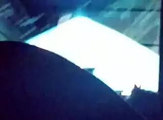 Redbone deepthroats worships monster bbc wet and sloppy! 🍆💦