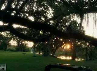 submissive slut crawls from lagoon to rim ass and swallow piss