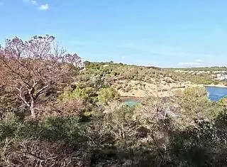 fit tattooed german milf sophie logan picked up for car quickie public rough fuck