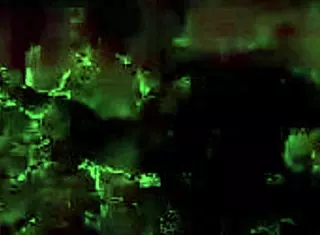 vintage scenes capture sensual antique poses