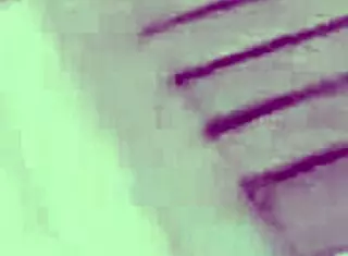 Miami Latina Angelina Dives Deep For BBC Poolside Pound