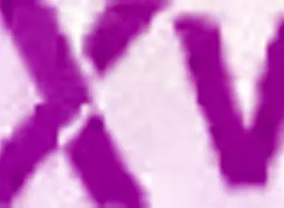 lisi kitty drowns in 25-load bukkake dp