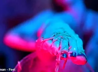 Sexy Redhead Feet Dominate and Crush Cup Noodles in Dirty Fetish Play