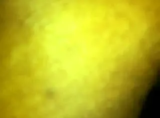 fat slut assfucking fun in usa! 🍑💦🔥