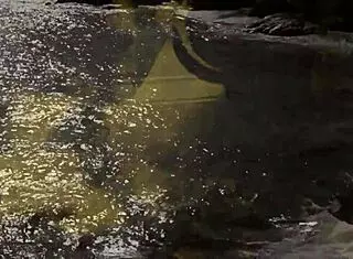 Vintage Erotic Drawings Ignite Retro Passions!