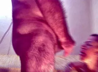 Bianca's Deepthroat Suck Ends Cum Swallow