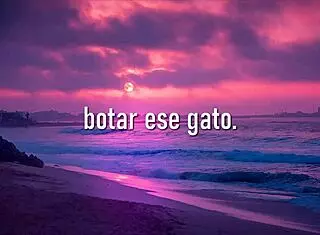 shakira bzrp music sessions 53 full letra