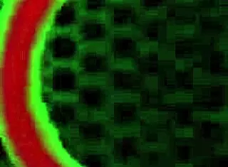 damn she's insatiable rome major pounds jenna justine hard