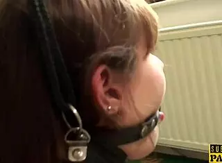 hey french bound slut take that rough maledom assfucking doggystyle