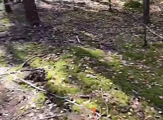 Outdoor walk ends with amateur couple's hard ass fucking finish