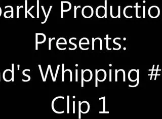 sp239 combined edition