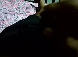 Cock Sucking Frenzy Unleashed!