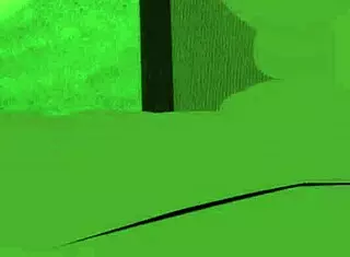 Fucking Fan In Roblox Sex Game