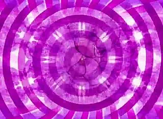 property sissy teaser femdom jerk instructions