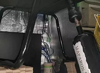 Slimy chastity anal play stretches tight ass with toys and fingering