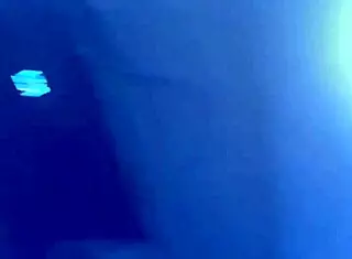 young street whore sucks deep & rides bareback then swallows cum 💦🍆😈