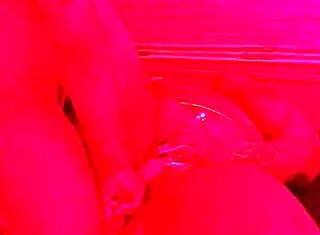 sexy ebony lesbians finger strap and trib in homemade couple compilation 😘👭