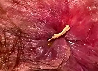 extreme closeup big clit vagina ass orgasm