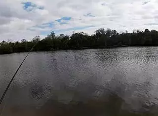 i went fishing then got my big tits and ass fucked outdoors