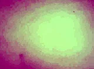 Amateur Homemade Video Captures Real Moments