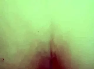 Amateur Homemade Video Captures Real Moments