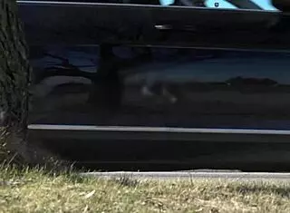 Skinny tattooed megan glock handles intense mmf dp ride