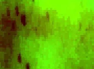 omg she rips clothes sucks cock humps till he cums on milf body 🔥💦