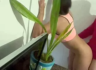 Wife Hires Petite Latina Maid with Pigtails for Secret Homemade Fuck