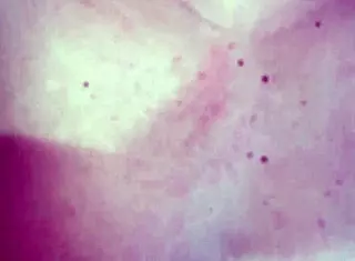 Village Lovers Cum in Tight Pussy