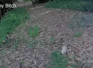 Struggling to find perfect forest spot for outdoor sex adventure