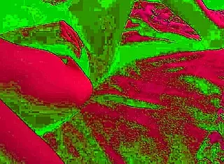 schoolgirl sweetmarta fingers oiled wet pussy closeup after class