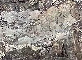 Shaved blonde babe's bubble butt pussy creampied by monster cock pov downhill!