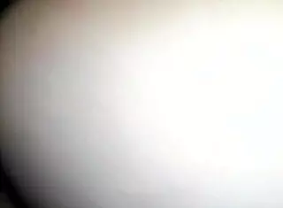 discover guanajuato's hottest mexican rico culito up close and tempting