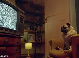 Liz Rainbow takes blue-eyed mouthful of hot semen!