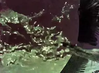 wanna see hairy retro beaver bent over doggystyle with beasts?