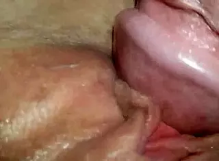 watch my wife take stranger creampie in cuckold fetish!