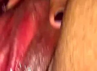 craving your tongue deep in my wet pussy creampie tease