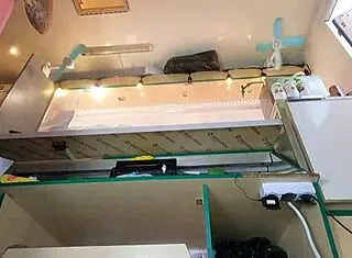 i just hope this sexy dumb bitch never spots the hidden cam