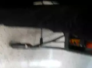 Spot that big booty pawg shopping at cub foods