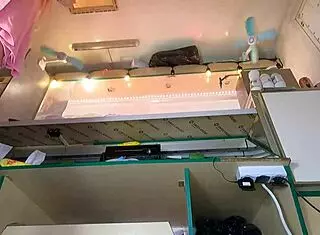 i just hope this sexy dumb bitch never spots the hidden cam