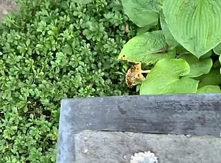 i love how the 26 edenists handmade objects break into tate modern consciousness