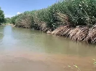 blonde big tits pov outdoor mud fuck sparks fly wild