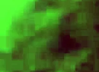 Homemade clip shows off tight Nigerian pussy closeup