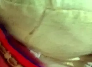 My Hot Wife's Steamy Hindi Design Tease