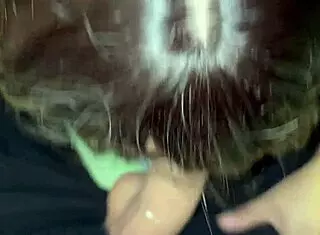 horny latina big ass sucks teacher's huge cock to pass